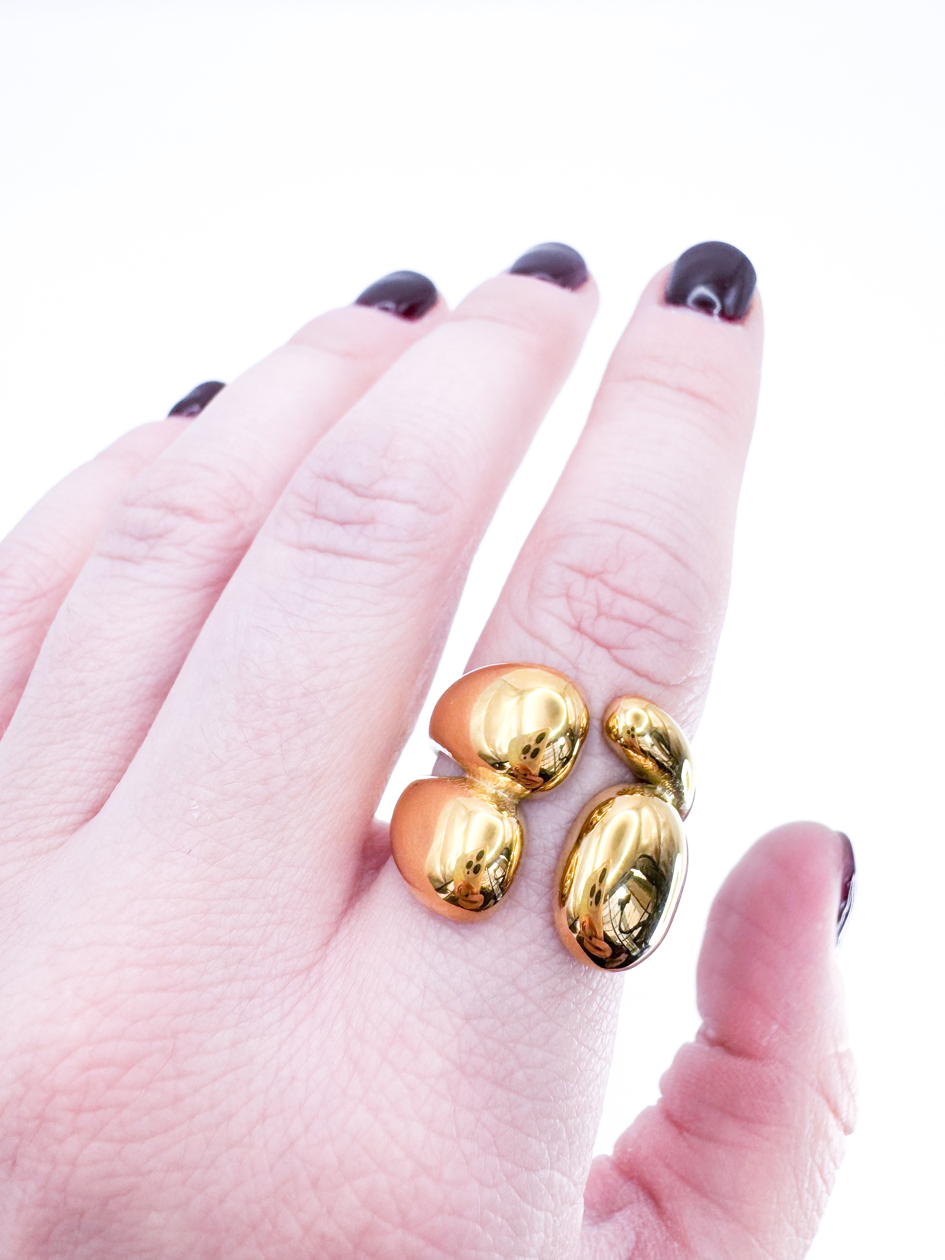 Anillo Páramo