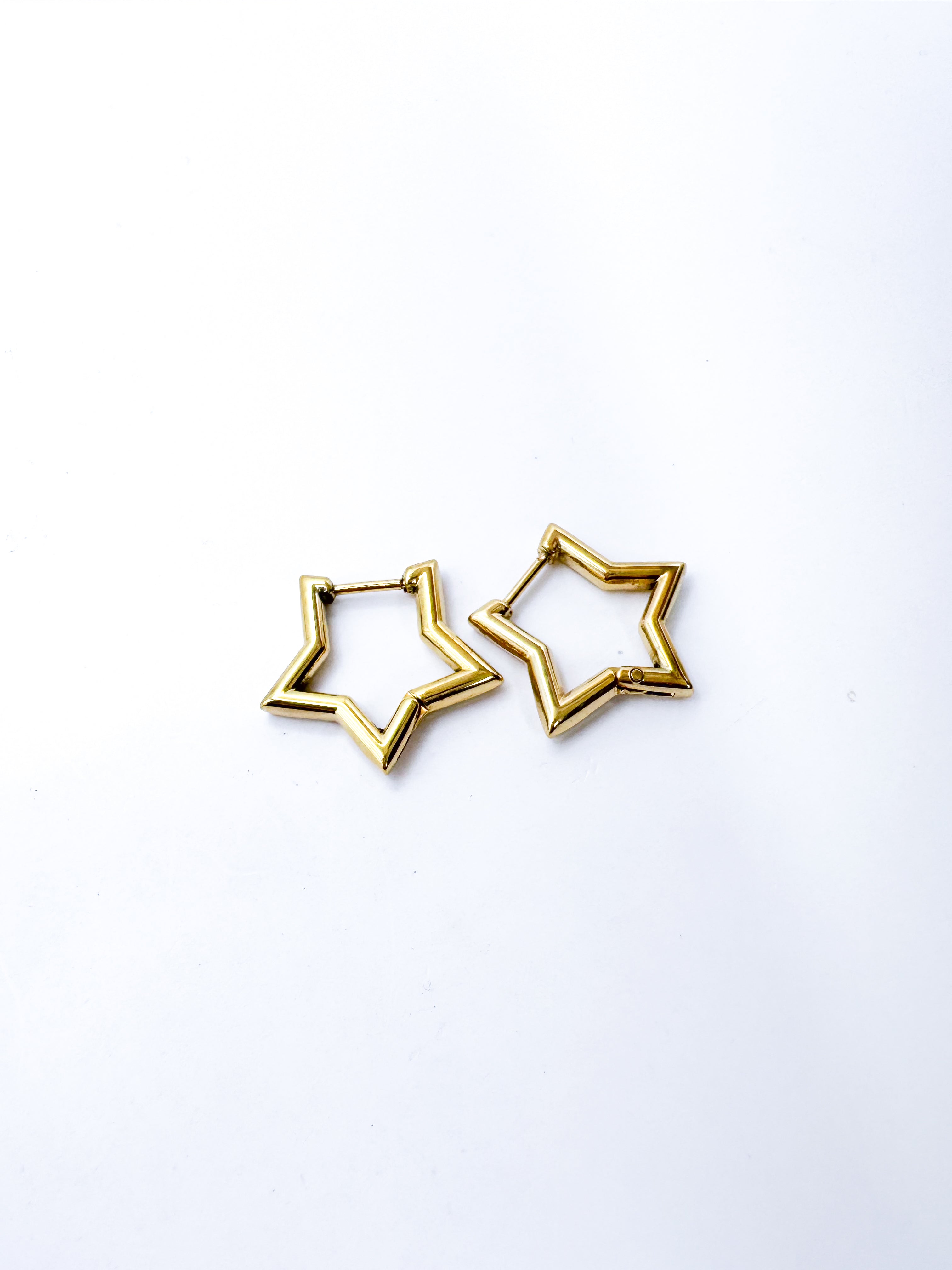 Aretes Hannah Arendt